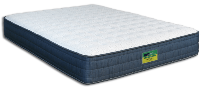 Back Performance Anchor Plush Mattress