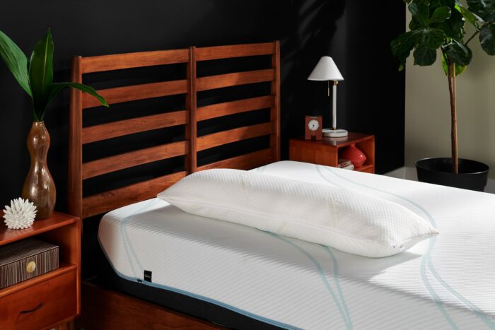 TEMPUR BodyPillow - Image 2