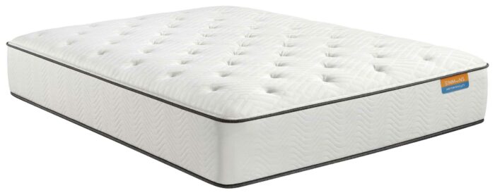 22 Holiday Plush Tight Top Queen Mattress