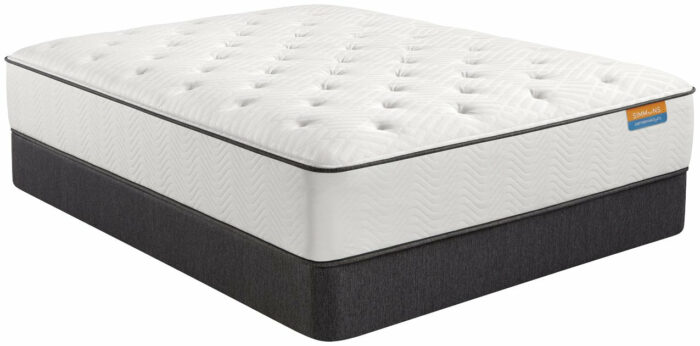 Dreamwell Holiday Firm Mattress - Image 2