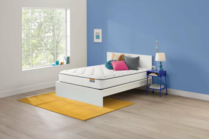 Dreamwell Holiday Firm Mattress - Image 3