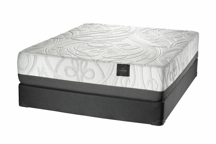 White Dove Hybrid 200 - Image 2
