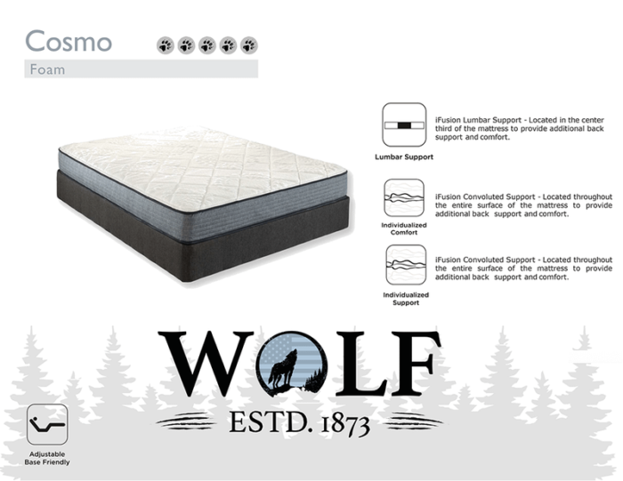 Cosmo Foam Mattress