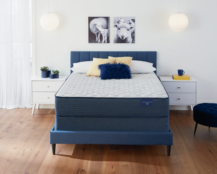 Blissful Excellence Cape May Firm Mattress - Image 3