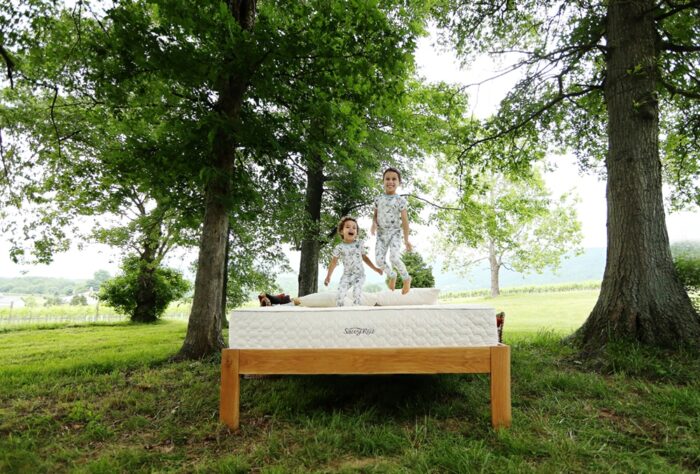 Earthspring Mattress